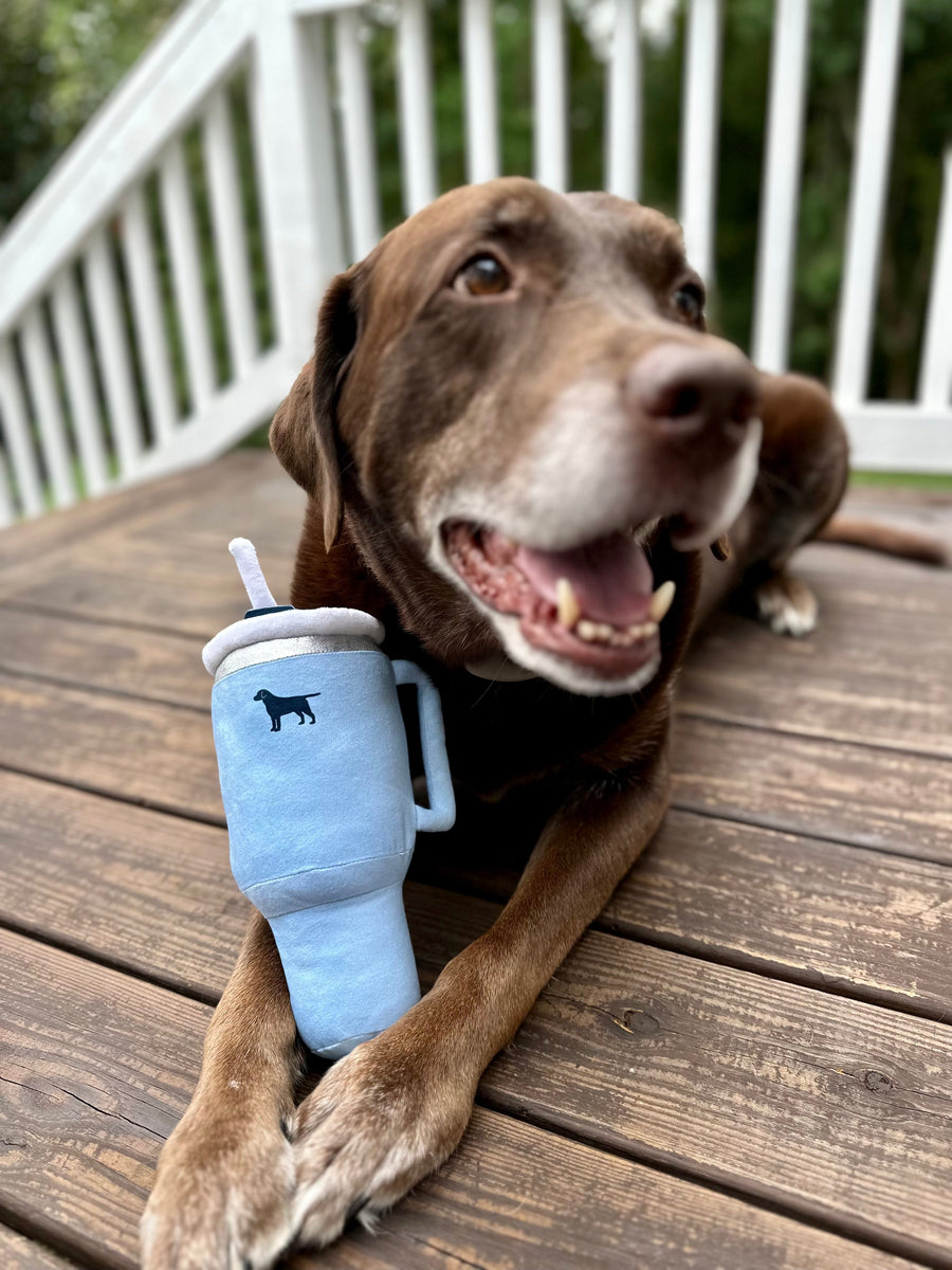 Playtime Favorites