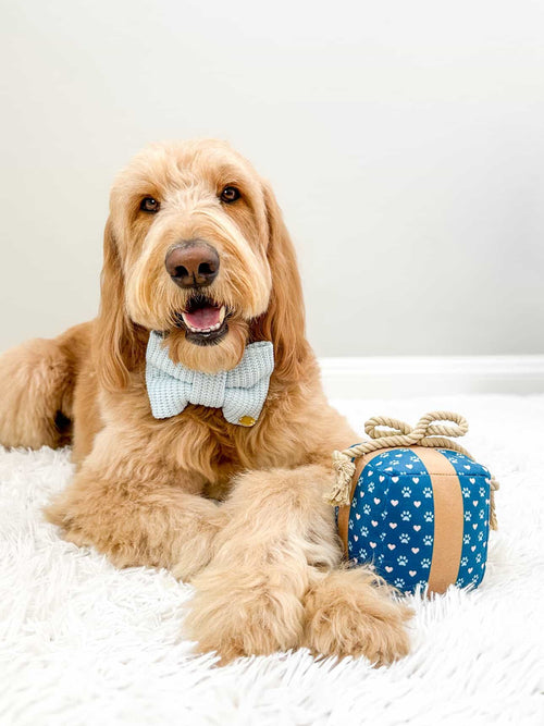 Birthday Gift Box Dog Toy