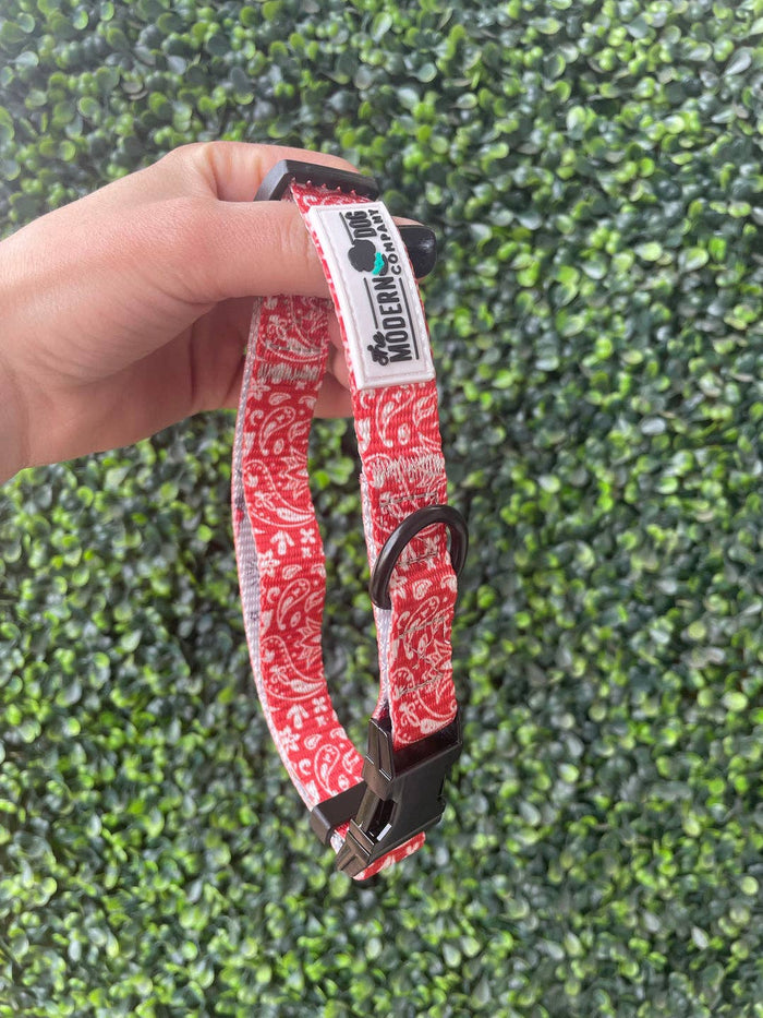 Bad to the Bone Bandana Collar