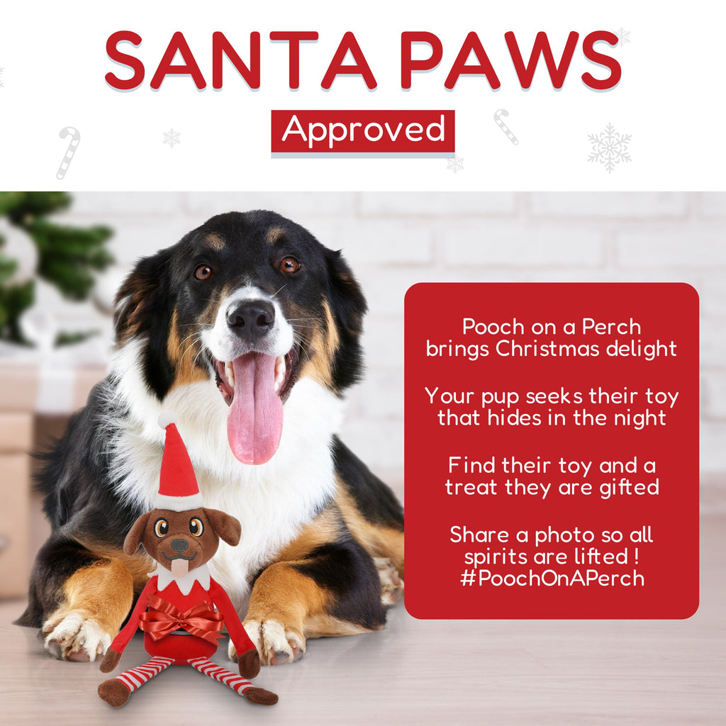 PUPROAR Pooch on a Perch | Elf Dog Toy & Christmas Dog Toy