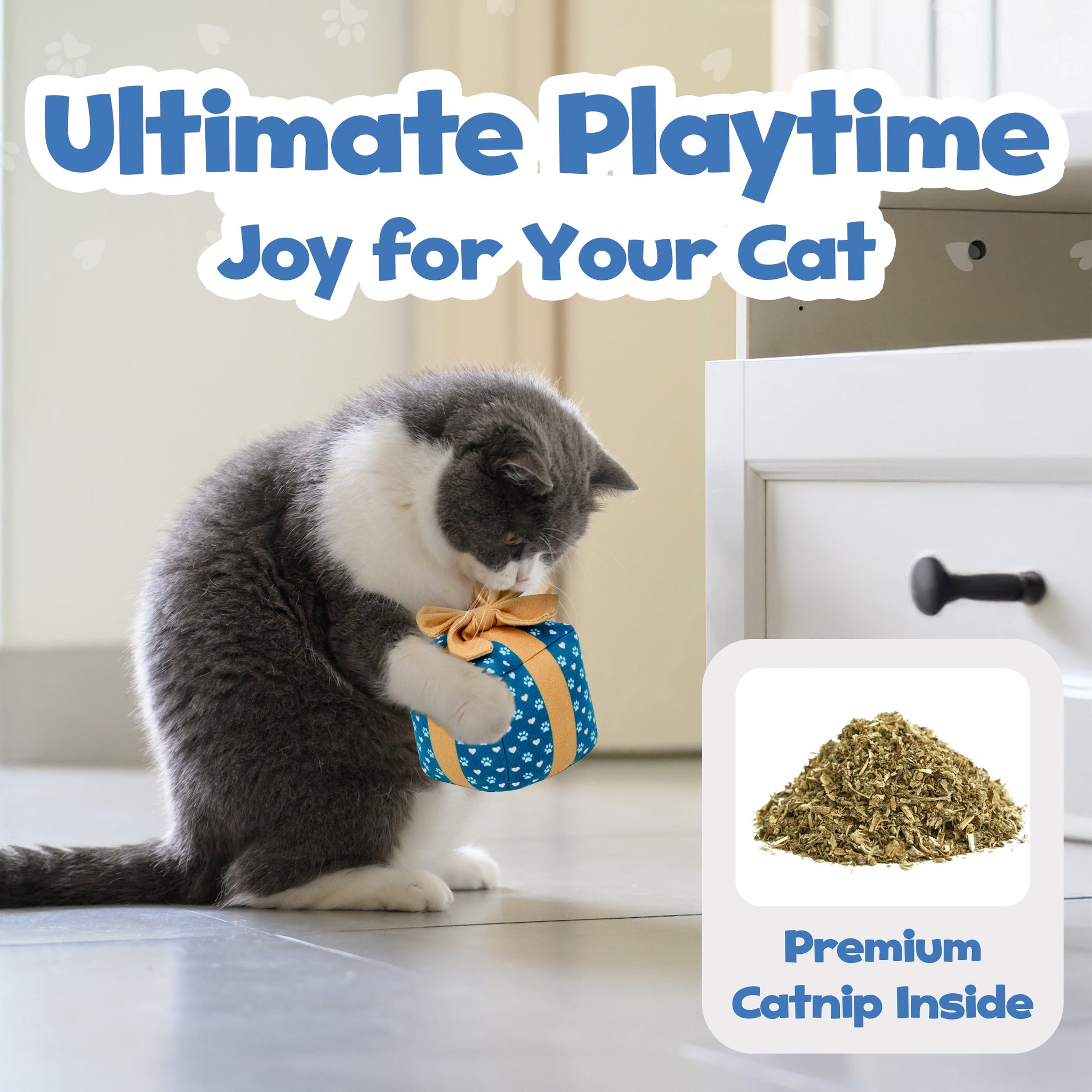 PUPROAR Gift Box Cat Toy | Cute Catnip & Crinkle Birthday Cat Toy