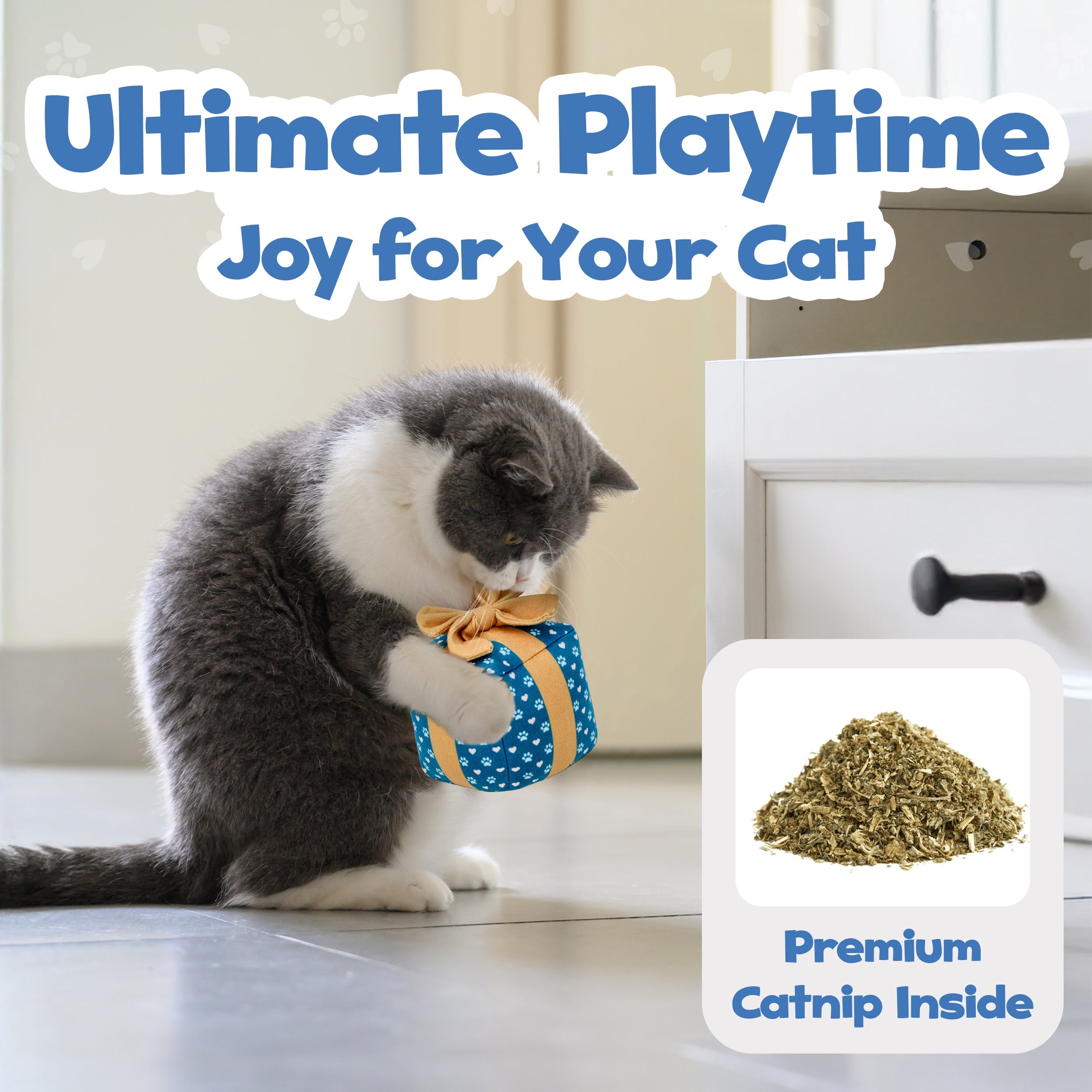 PUPROAR Gift Box Cat Toy | Cute Catnip & Crinkle Birthday Cat Toy