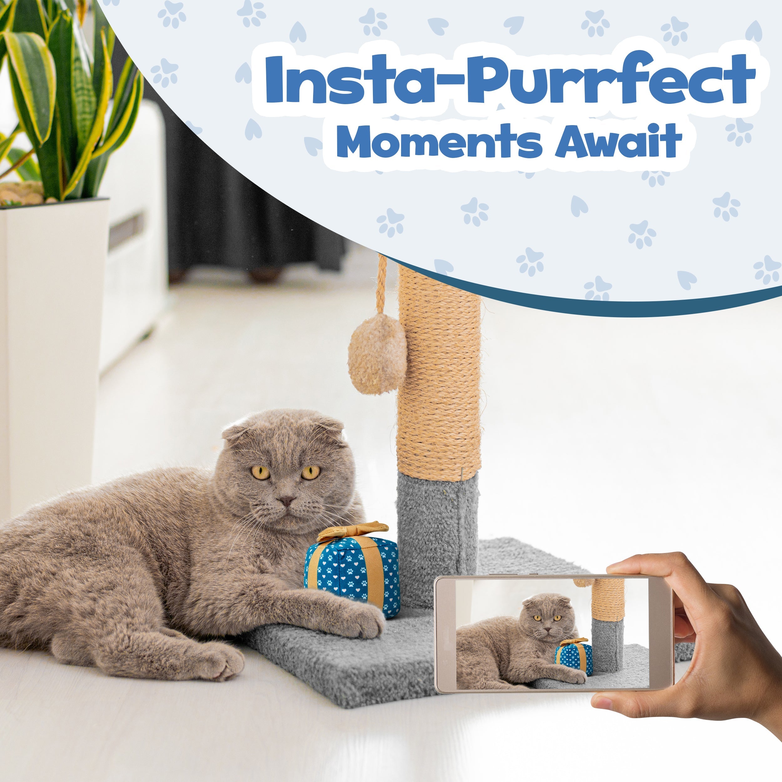 PUPROAR Gift Box Cat Toy | Cute Catnip & Crinkle Birthday Cat Toy