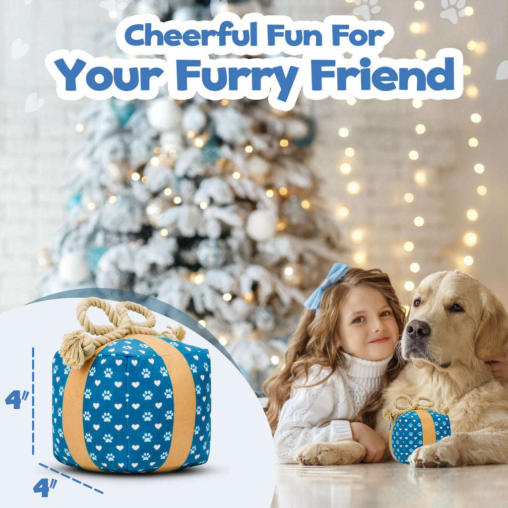 PUPROAR Gift Box Dog Toy | Cute Squeaky Birthday Dog Toy with Rope Bow