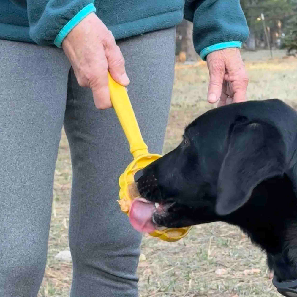 eStick Interactive Lick Stick