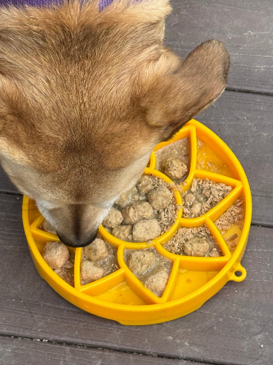 Sunflower eTray Slow Feeder Bowl