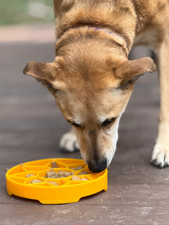 Sunflower eTray Slow Feeder Bowl