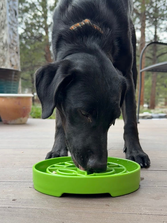 Garden eTray Slow Feeder Bowl
