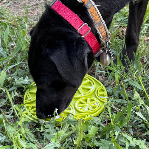 Citrus eMat Lick Mat with Suction Cups