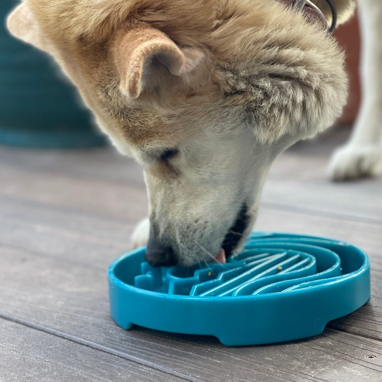 Baja eTray Slow Feeder Bowl