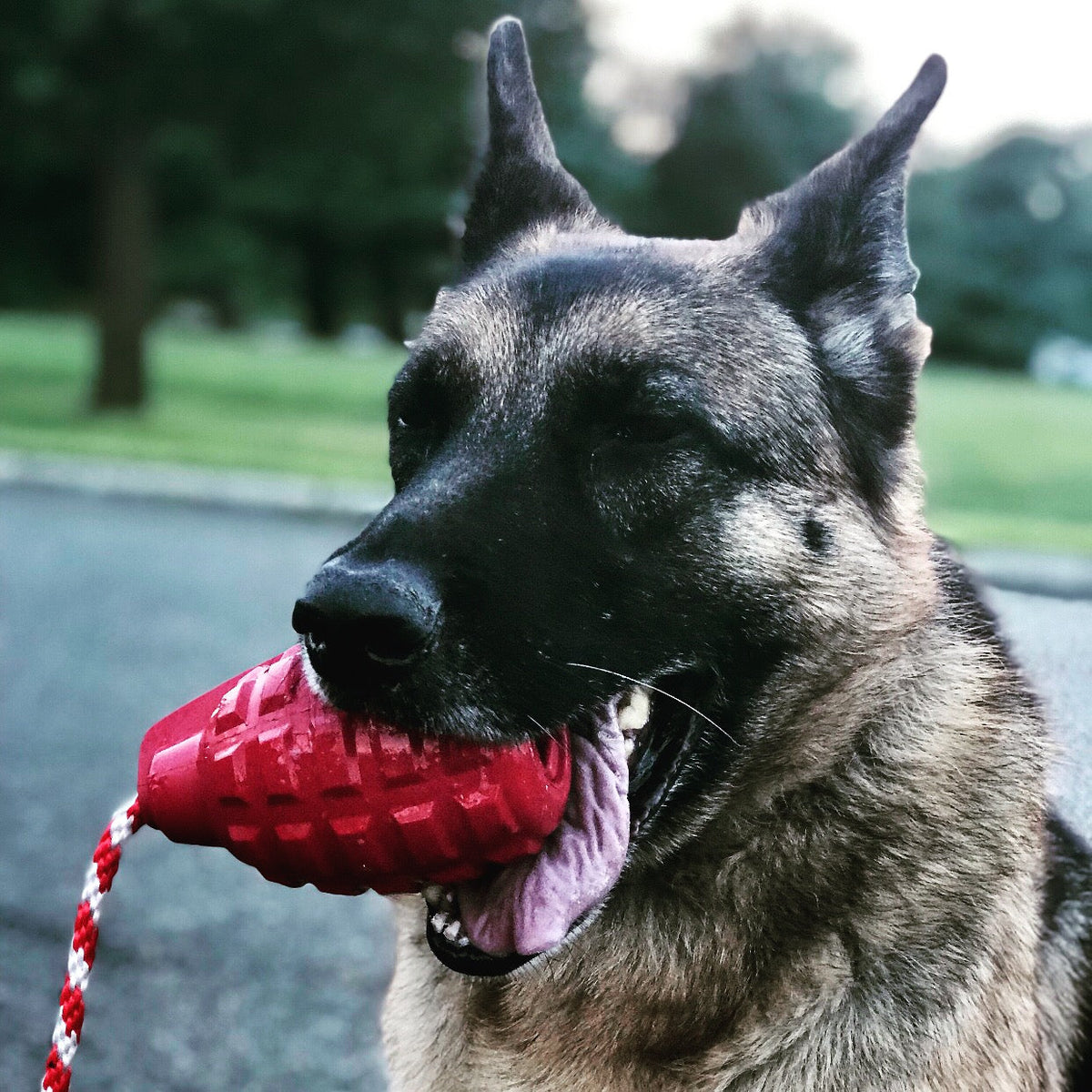 USA-K9 Grenade Rubber Chew & Tug Toy - Army Green