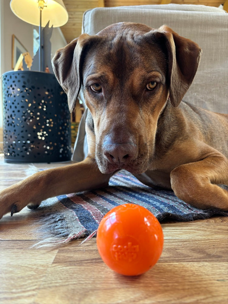 Squeak Ball Floating Rubber Chew Toy