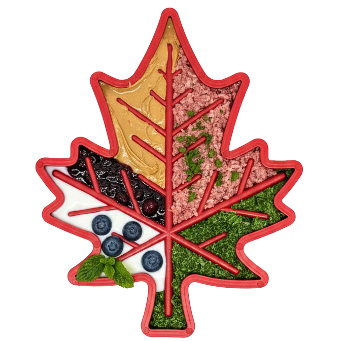 Canadian Maple Leaf Nylon Chew Toy