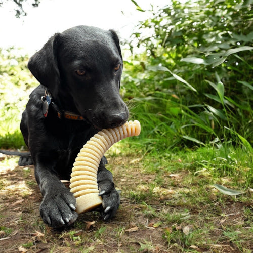 Flufflehorn Dental Antler Nylon Chew Toy XL