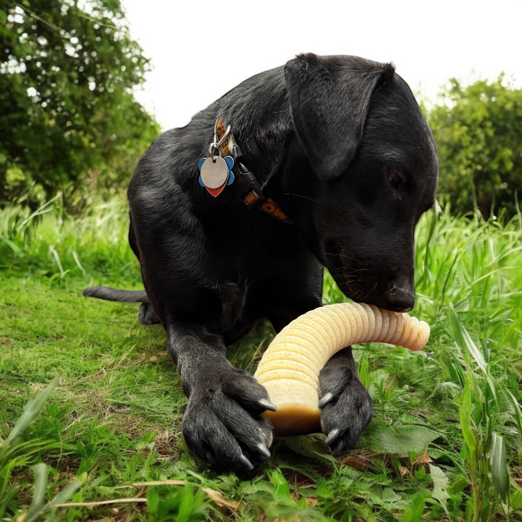 Flufflehorn Dental Antler Nylon Chew Toy XL