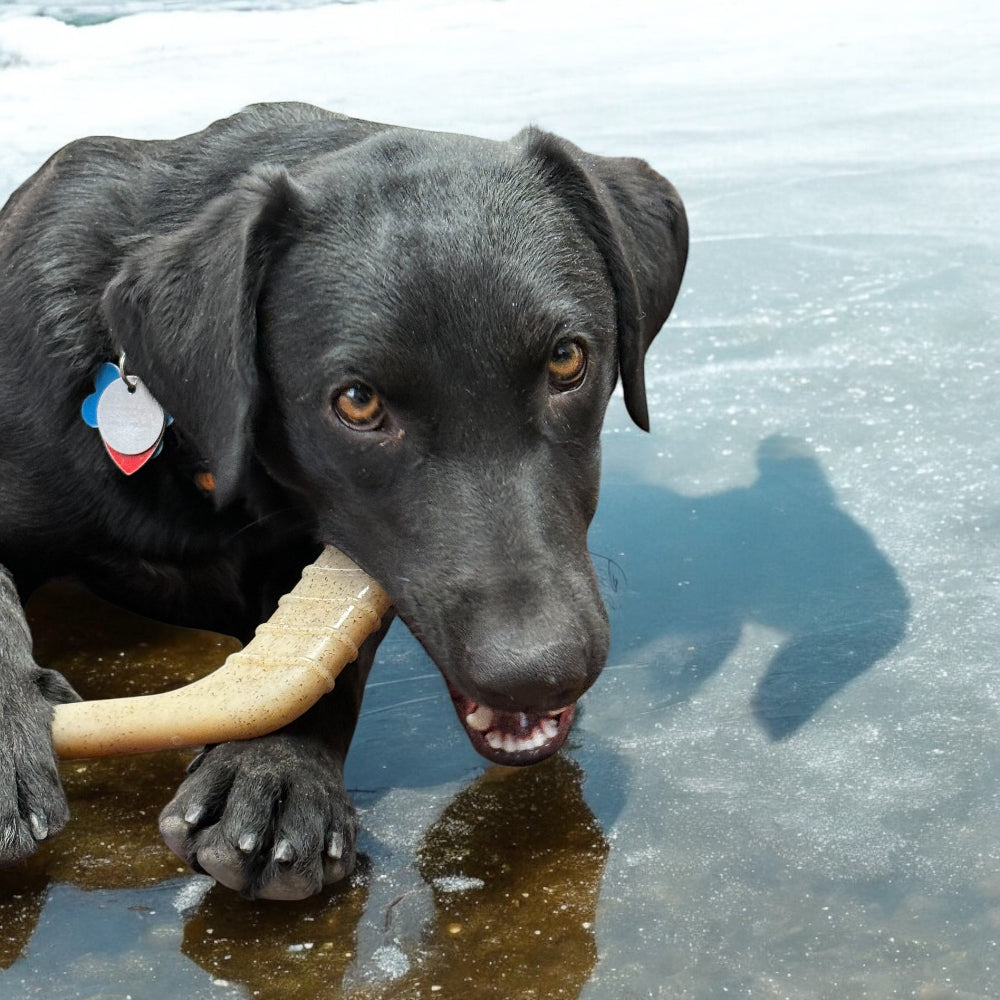 Hockey Stick Nylon Chew Toy