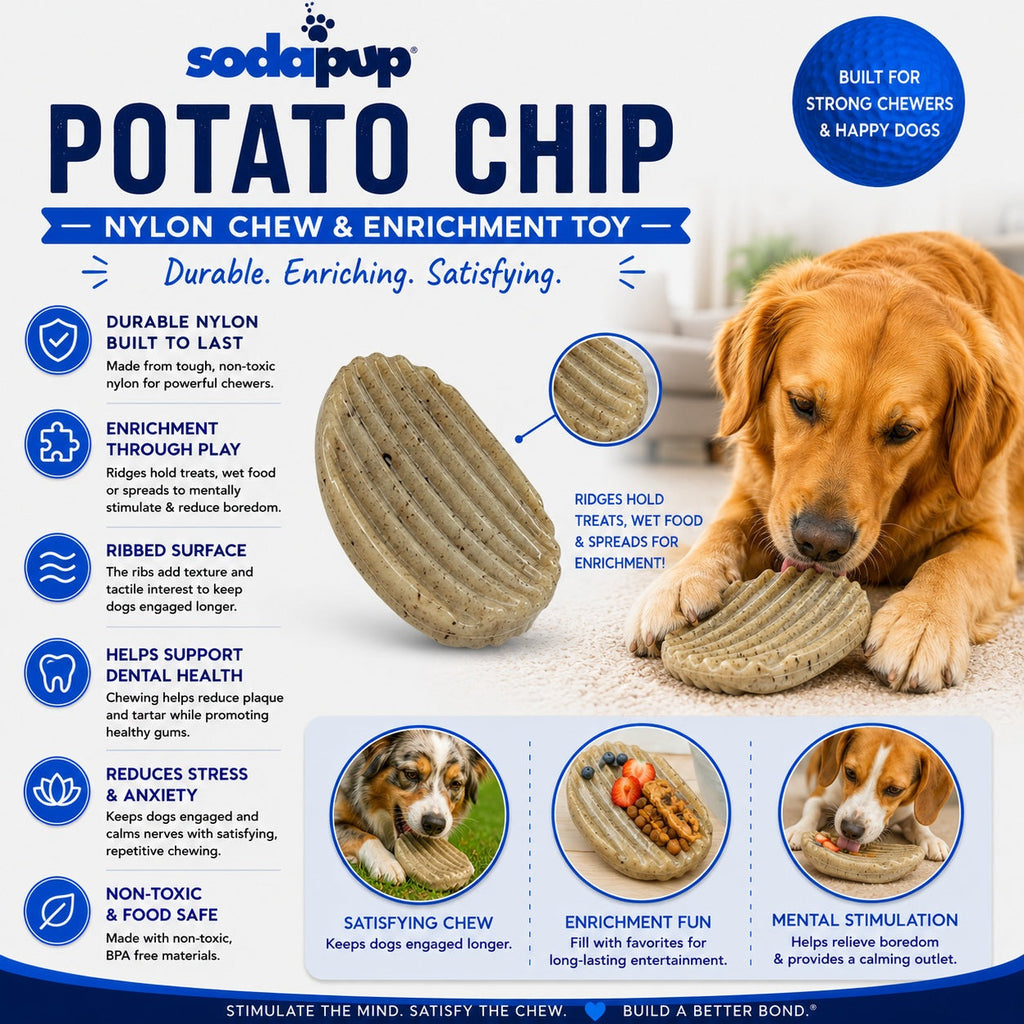 Potato Chip Nylon Chew & Enrichment Toy