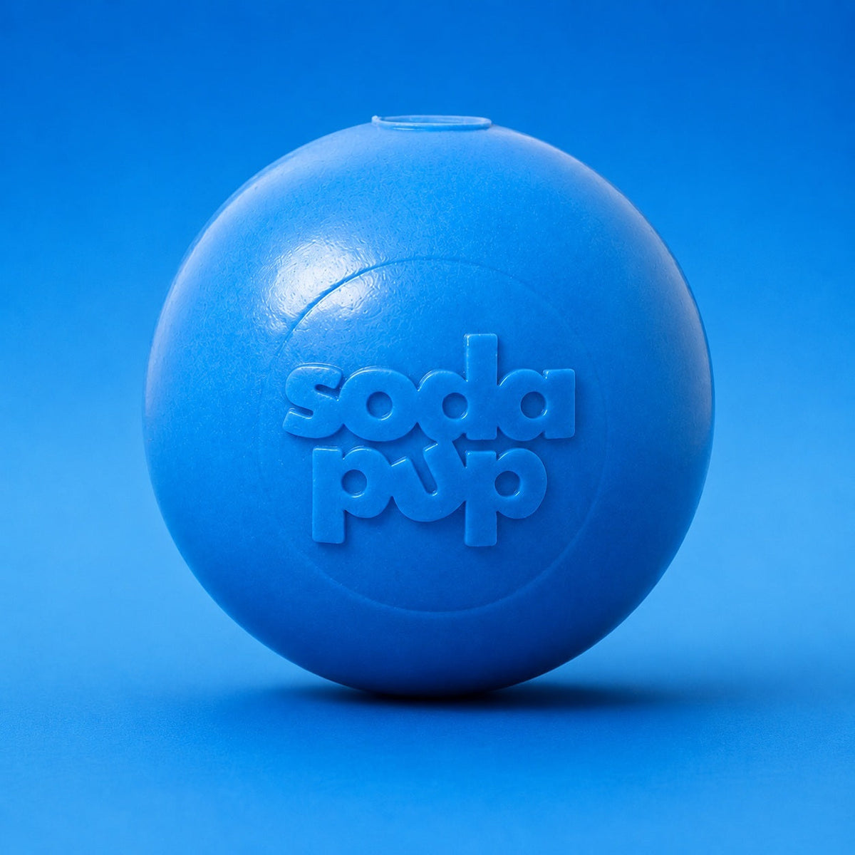 Squeak Ball Floating Rubber Chew Toy