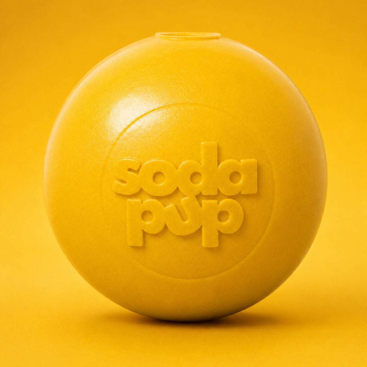 Squeak Ball Floating Rubber Chew Toy