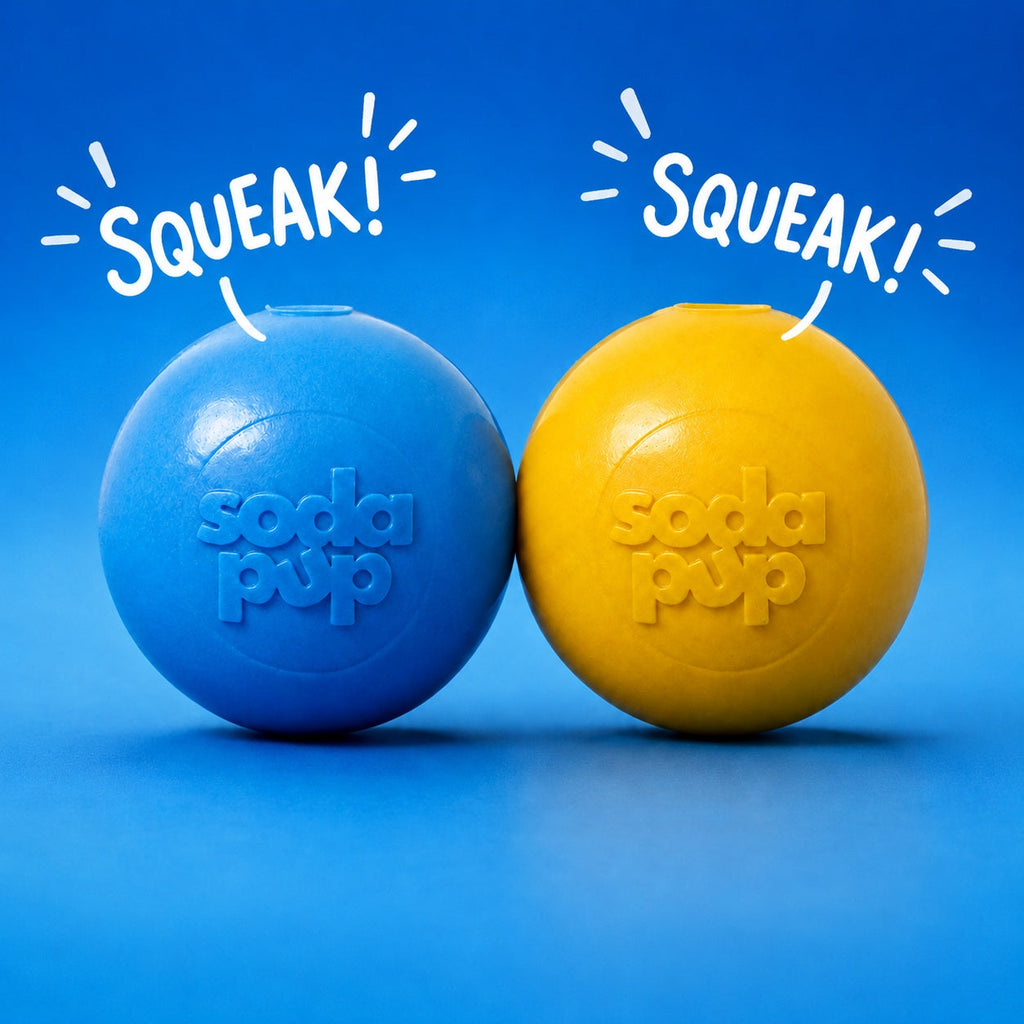Squeak Ball Floating Rubber Chew Toy