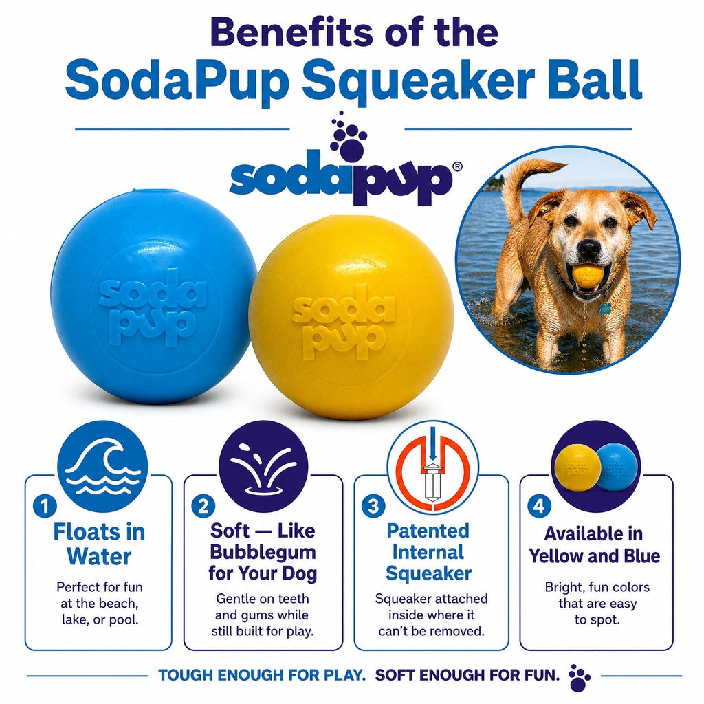 Squeak Ball Floating Rubber Chew Toy