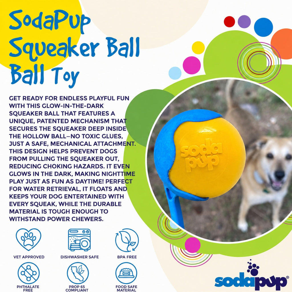 Squeak Ball Floating Rubber Chew Toy