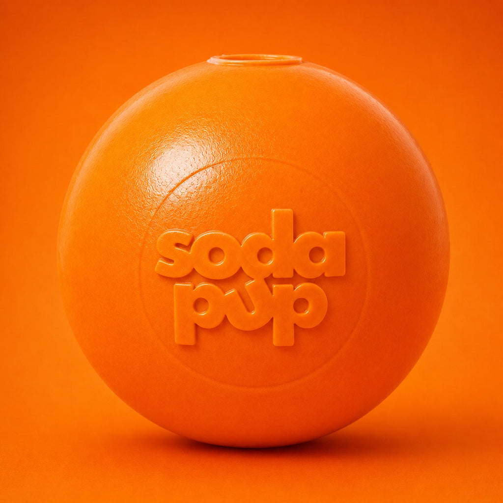 Squeak Ball Floating Rubber Chew Toy