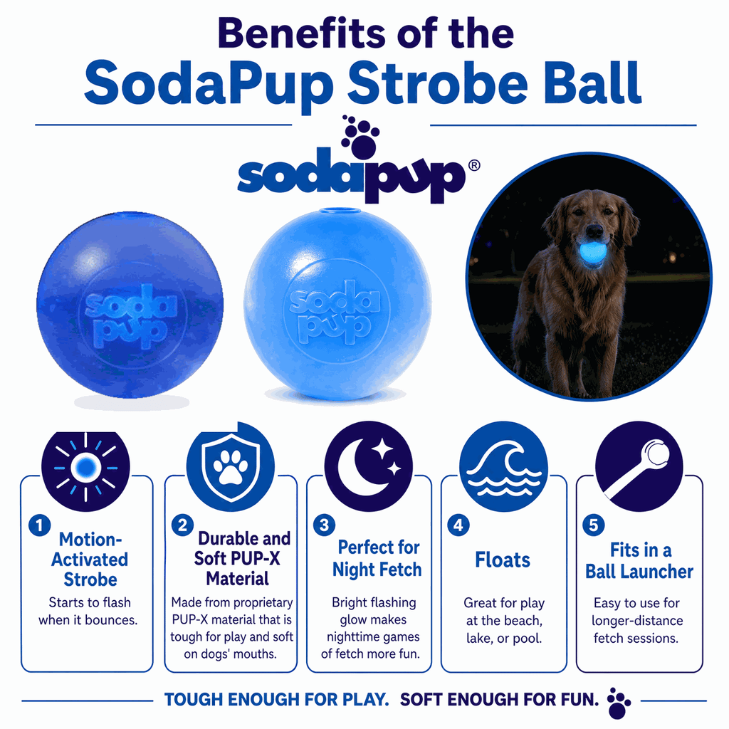Strobe Ball Light-Up Floating Chew Toy