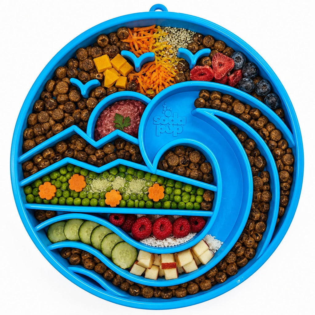Baja eTray Slow Feeder Bowl