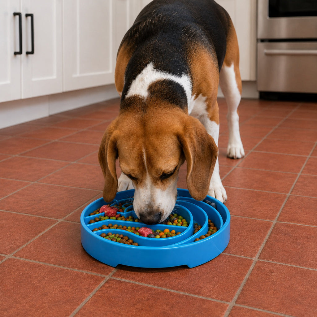 Baja eTray Slow Feeder Bowl