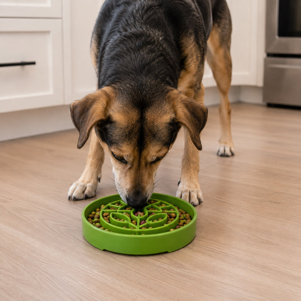 Garden eTray Slow Feeder Bowl