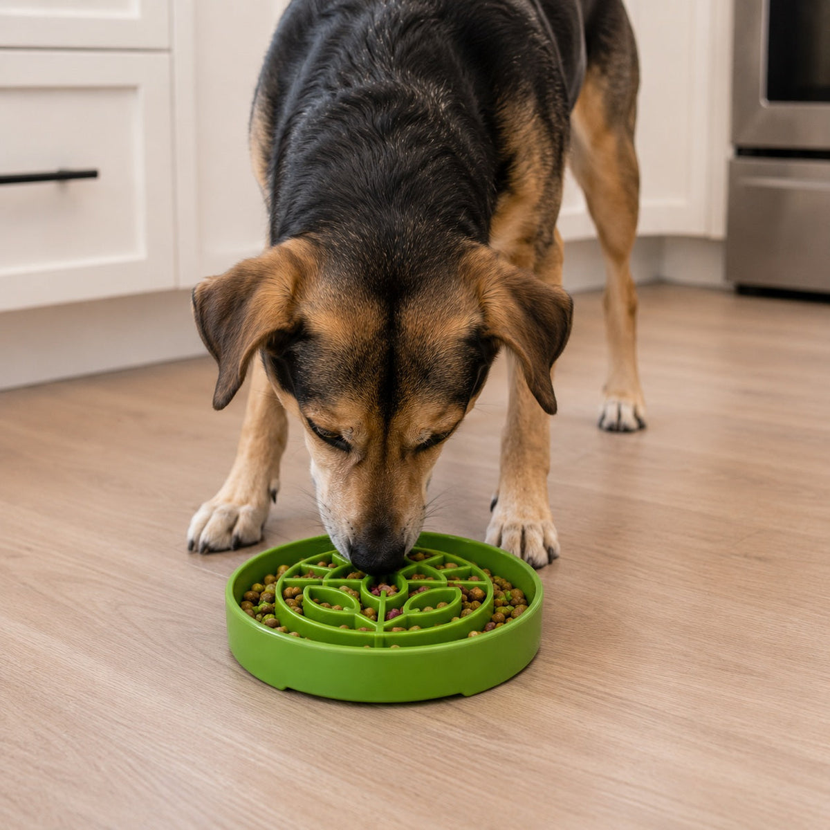 Garden eTray Slow Feeder Bowl