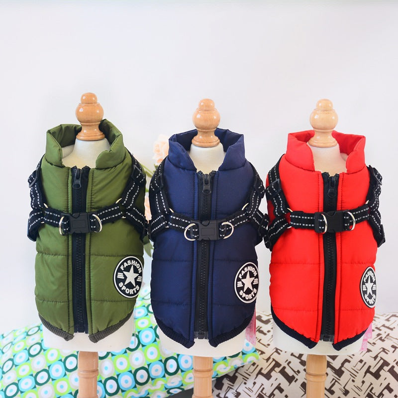 Dog Apparel