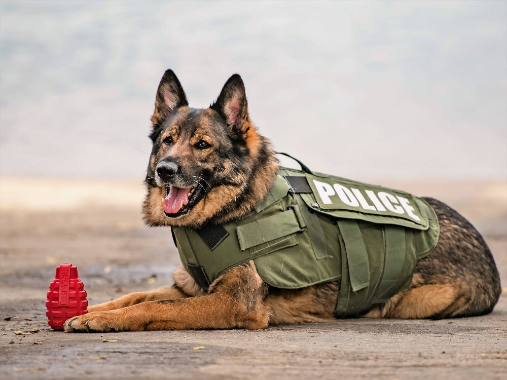 USA-K9 Grenade Treat Dispenser - Army Green