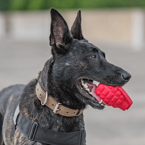 USA-K9 Grenade Treat Dispenser - Magnum Black
