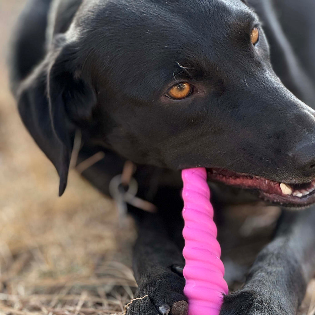 Unicorn Horn Nylon Chew Toy
